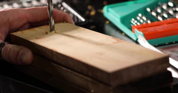 Männliche Zimmermannshand bohrt Löcher. in Holz mit eingedrehten Schrauben — Stockvideo