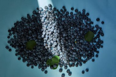 Mavi arka planda taze organik böğürtlenler, sert güneş ışığı, üst manzara, kopyalama alanı. Sağlıklı beslenme, antioksidan, vitamin, yaz yemeği kavramı.