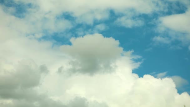 밝은 푸른 하늘을 날으는 흰 구름 — 비디오