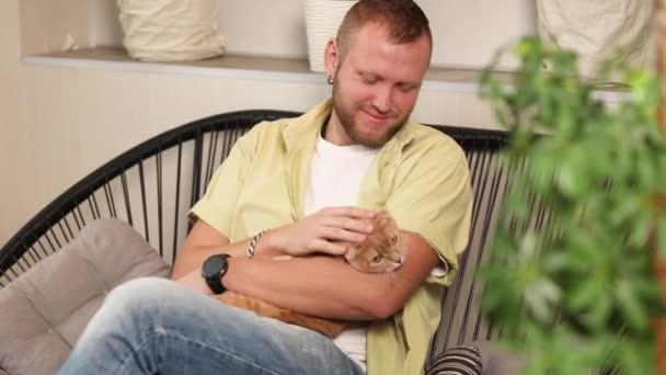 Muž sedí na křesle s roztomilou zrzavou kočkou, muž objímající její roztomilé kotě — Stock video