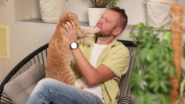 Muž sedí na křesle s roztomilou zrzavou kočkou, muž objímající její roztomilé kotě — Stock video