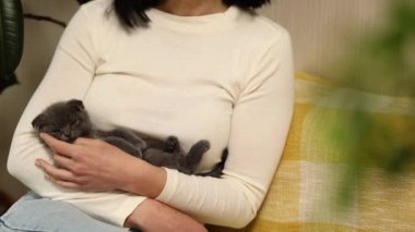 Bir kadın oturuyor ve elinde sevimli gri kedi yavrusu var, dişi kedisine sarılıyor, evde kedisiyle oynuyor, ev hayvanı kavramı, yavaş çekim..