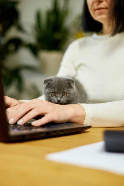 Unrecognizable Hand Woman Wear Comfy Style Working Black Notebook Typing — Fotografia de Stock