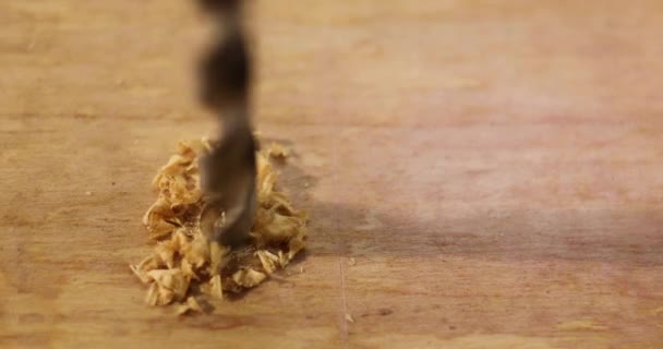 Close Drilling Wood Screw Twisted Place Metal Drill Bit Make — стоковое видео