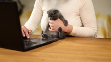 Unrecognizable hand Woman searching vet website on laptop to register cat kitten for veterinary consultation, Freelancer female working from home.