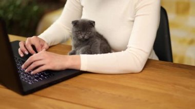 Unrecognizable hand Woman wear comfy style is working on a black notebook, typing on laptop and kitten is laying on the table, Work from home, Homework, freelance,
