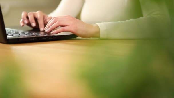 使用笔记本电脑在网上购物 在家里下订单 查看社交媒体的女人 — 图库视频影像