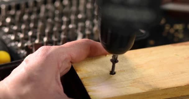 Primer Plano Perforación Manual Del Hombre Madera Tornillo Autorroscante Retorcido — Vídeo de stock