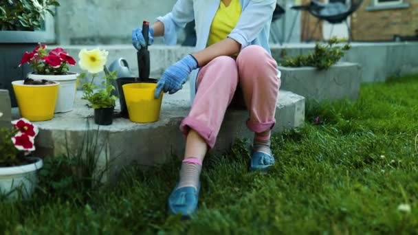 Mujer Plantando Petunia Surfinia Maceta Flores Concepto Jardinería Patio Trasero — Vídeos de Stock