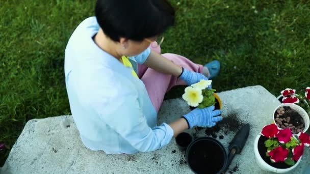 Vrouw Het Planten Van Petunia Surfinia Bloemen Pot Tuinieren Concept — Stockvideo