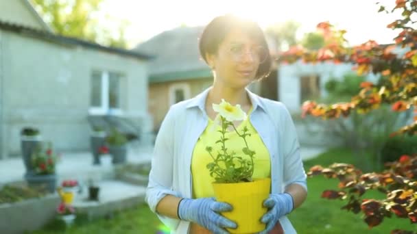 Mujer Caminar Con Petunia Surfinia Maceta Flores Las Manos Mujer — Vídeos de Stock