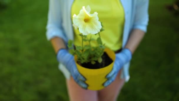 女人手里拿着花盆走着 雌性准备种花 夏天或春天后院里的园丁 — 图库视频影像