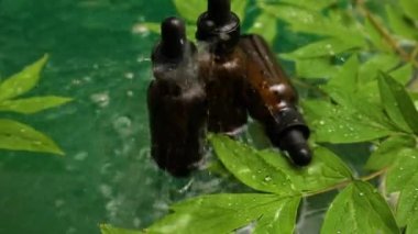 Bitkisel serum, petrol kozmetik reklamı, basit ve doğal cilt bakımı, su dalgalanması ve yeşil yaprak ile hazırlanan ürün.