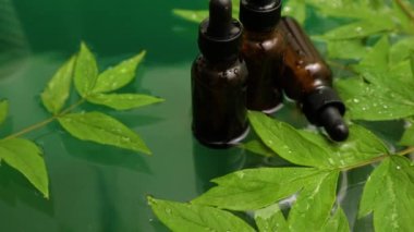 Bitkisel serum, petrol kozmetik reklamı, basit ve doğal cilt bakımı, su dalgalanması ve yeşil yaprak ile hazırlanan ürün.