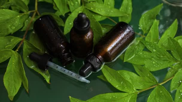 Botol Dengan Serum Herbal Iklan Kosmetik Minyak Konsep Perawatan Kulit — Stok Video
