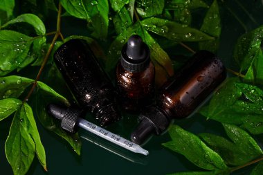 Bitkisel serum, petrol kozmetik reklamı, basit ve doğal cilt bakımı, su dalgalanması ve yeşil yaprak ile hazırlanan ürün.