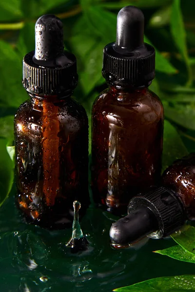 Botol Dengan Serum Herbal Iklan Kosmetik Minyak Konsep Perawatan Kulit — Stok Foto