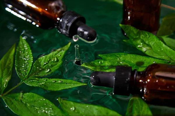 Botol Dengan Serum Herbal Iklan Kosmetik Minyak Konsep Perawatan Kulit — Stok Foto