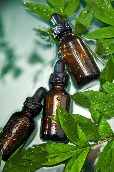 Top View Botol Dengan Serum Herbal Iklan Kosmetik Minyak Sederhana — Stok Foto