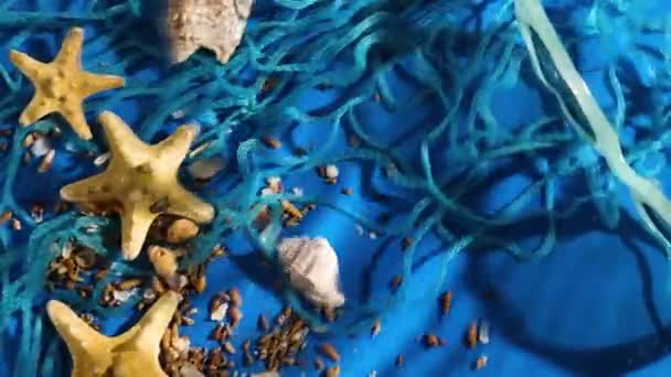 有海星的水波背景平坦 有阳光的蓝水质感的海贝壳 暑假概念 顶视图 — 图库视频影像