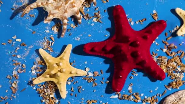 有海星的水波背景平坦 有阳光的蓝水质感的海贝壳 暑假概念 顶视图 — 图库视频影像