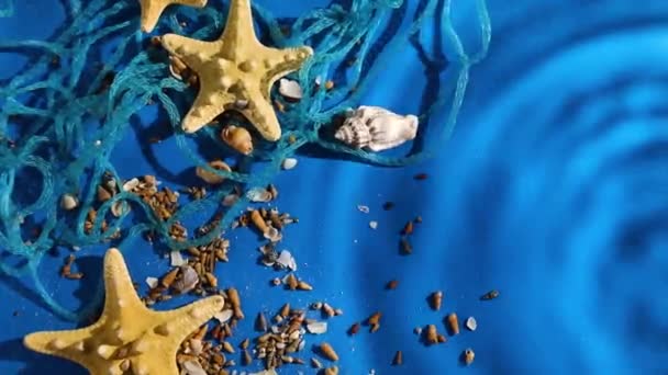 Colocación Plana Fondo Ola Agua Con Estrellas Mar Conchas Marinas — Vídeo de stock