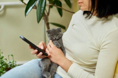 İskoç kedili kadın kanepede telefonla konuşuyor, akıllı telefon kullanarak sohbet ediyor, mesaj yazıyor, evcil hayvan ve sahip iletişimi, insan ve hayvan dostluğu.