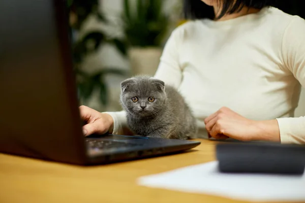 Unrecognizable Hand Woman Wear Comfy Style Working Black Notebook Typing — стоковое фото