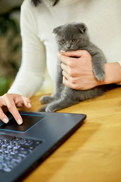 Unrecognizable hand Woman searching vet website on laptop to register cat kitten for veterinary consultation, Freelancer female working from home.