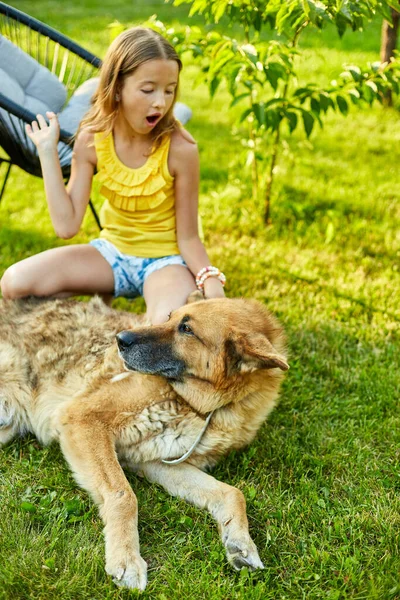 Linda Chica Perro Viejo Disfrutar Del Día Verano Hierba Parque — Foto de Stock