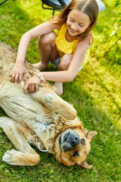 Nettes Mädchen Und Alter Hund Genießen Den Sommertag Auf Der — Stockfoto
