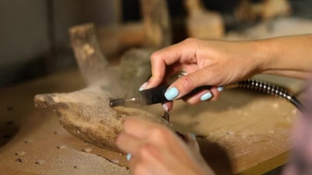 Female Using Power Wood Working Tools Graver Carving While Crafting — Stock Video