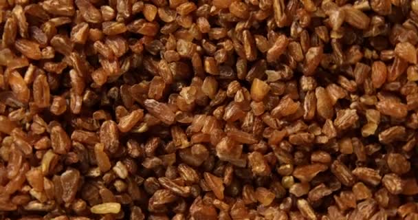 Rotation Gruaux Bulgur Grains Entiers Secs Crus Céréales Alimentation Végétarienne — Video