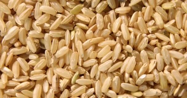 Rotation Roher Trockener Brauner Reisgrütze Getreide Vegetarische Gesunde Biologische Ernährung — Stockvideo