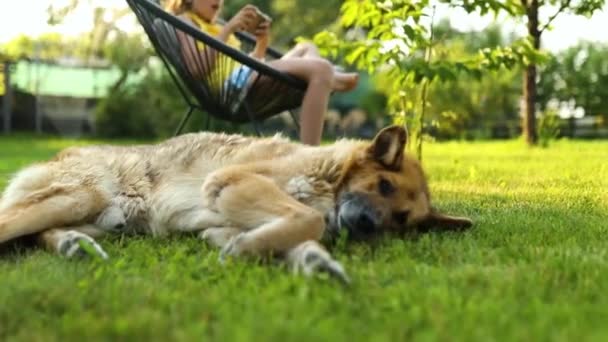 Hund Gras Liegend Nettes Mädchen Mit Handy Park Freien Kind — Stockvideo