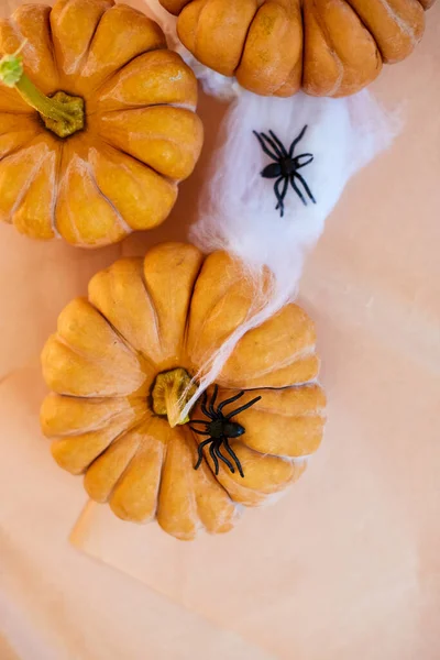 Halloween Home Decorations Spiders Pumpkins Paint Prepare Top View Copy — Stock Photo, Image