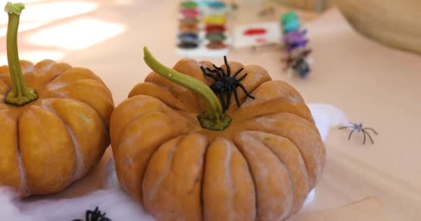 Decoraciones Para Hogar Halloween Con Arañas Calabazas Pintura Preparan — Vídeo de stock