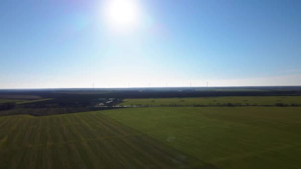 Aerial Drone View Row Windmills Field Solar Power Plant Renewable — Vídeo de Stock