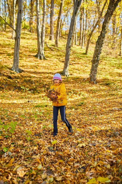 Happy Adorable Child Girl Laughing Playing Yellow Fallen Leaves Autumn —  Fotos de Stock