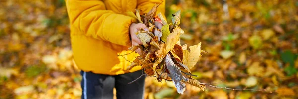 Banner Happy Adorable Child Girl Laughing Playing Yellow Fallen Leaves —  Fotos de Stock