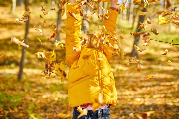 Happy Adorable Child Girl Laughing Playing Yellow Fallen Leaves Autumn — 图库照片