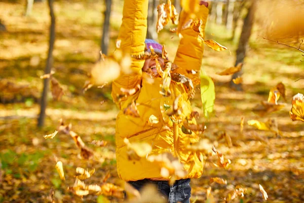 Счастливая Обожаемая Девочка Смеющаяся Играющая Желтые Опавшие Листья Улице Счастливый — стоковое фото