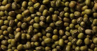 Dönüşümlü yeşil fasulye dokusu, kuru fasulye püresi deseni, dal duvar kağıdı, çiğ daal dhal, mazo, vejetaryen sağlıklı organik gıda diyeti.
