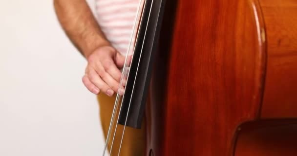 双低音演奏者 在白色背景下演奏经典的木制小提琴或对比度低音 以歌曲和音乐放松身心 在玩的时候练习生活方式概念 — 图库视频影像