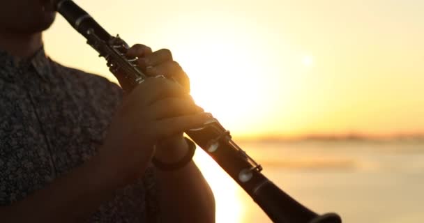 Man Muzikant Spelen Klassieke Blaasinstrument Klarinet Buiten Zonlicht Ontspannen Met — Stockvideo