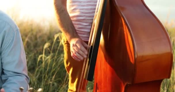 Klasik Ahşap Viyolonsel Kontrabass Açık Hava Güneş Işığı Çalan Şarkı — Stok video