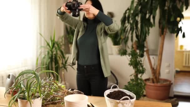 Kadın Fotoğrafçı Crassula Bitkisini Evdeki Yeni Çömleğe Naklederken Bitkiyi Tencere — Stok video