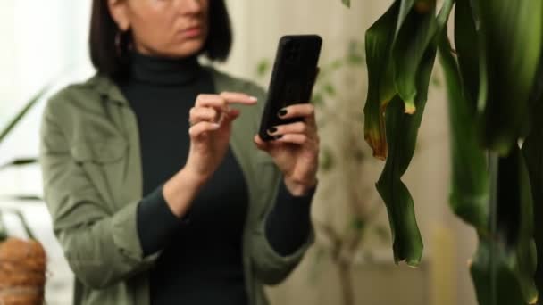 Woman Smartphone Taking Photo Leaf Diseases Dracaena Palm Home Taking — Stock Video