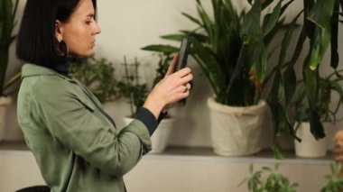 Akıllı telefonlu bir kadın evde Dracaena avuç içi yaprak hastalıklarının fotoğrafını çekiyor, ev bitkileriyle ilgileniyor, hasarlı izinler, ev bitkilerinin mobil uygulamalarında tedavi araması