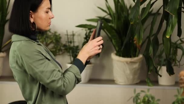 Kvinna Med Smartphone Foto Bladsjukdomar Dracaena Palm Hemma Hand Krukväxter — Stockvideo